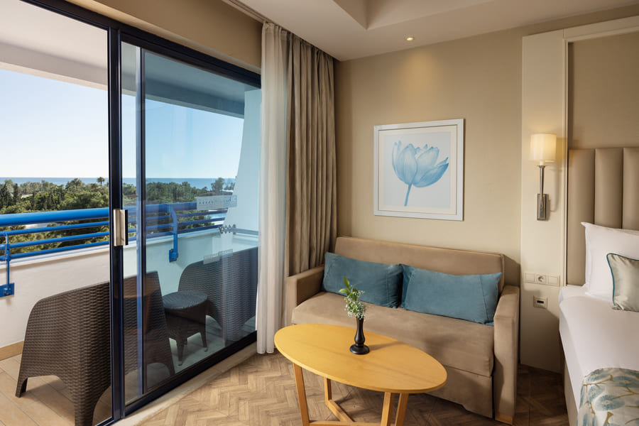 Standard Land View Room